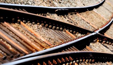 fare revenue rises 8% as government subsidy falls