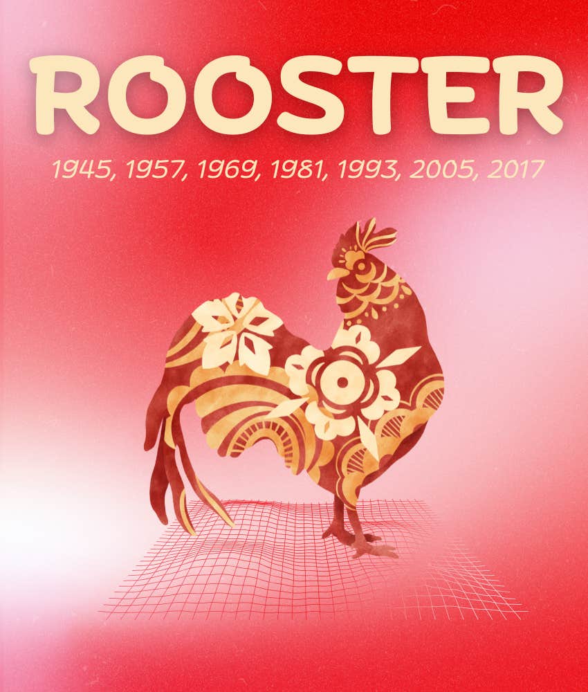 rooster chinese zodiac signs luckiest december 2025