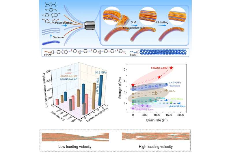 Graphical abstract. Credit: Matter (2025). DOI: 10.1016/j.matt.2025.102496 Scientists create a new bullet-proof fiber that is stronger and thinner than Kevlar