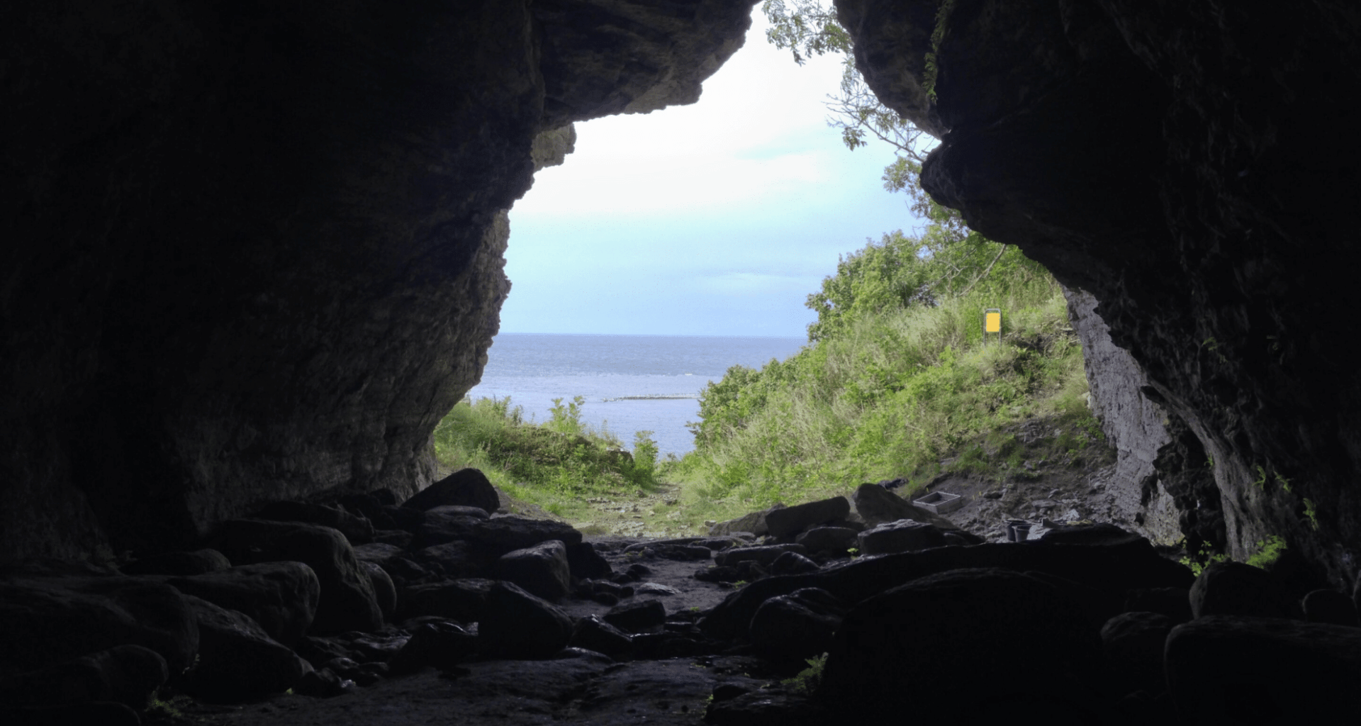Scientists Stumble Upon Ancient Wolves On An Unexpected Remote Island!