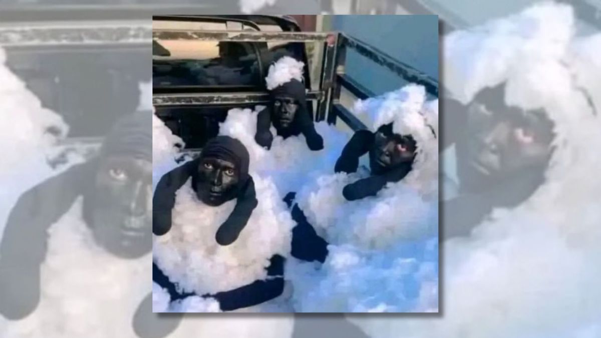 No, photo doesn't show Algerian migrants in sheep costumes arrested while trying to sneak into Spain