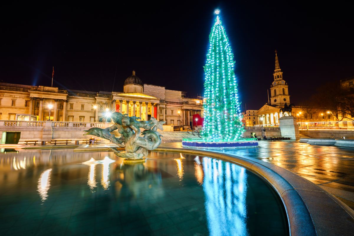 Trafalgar Square Christmas Tree lighting up London