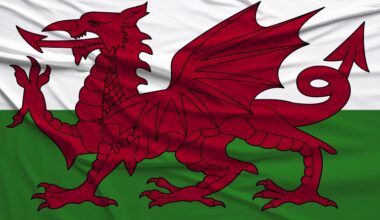 Public Health Wales and WHO partner to drive digital health equity