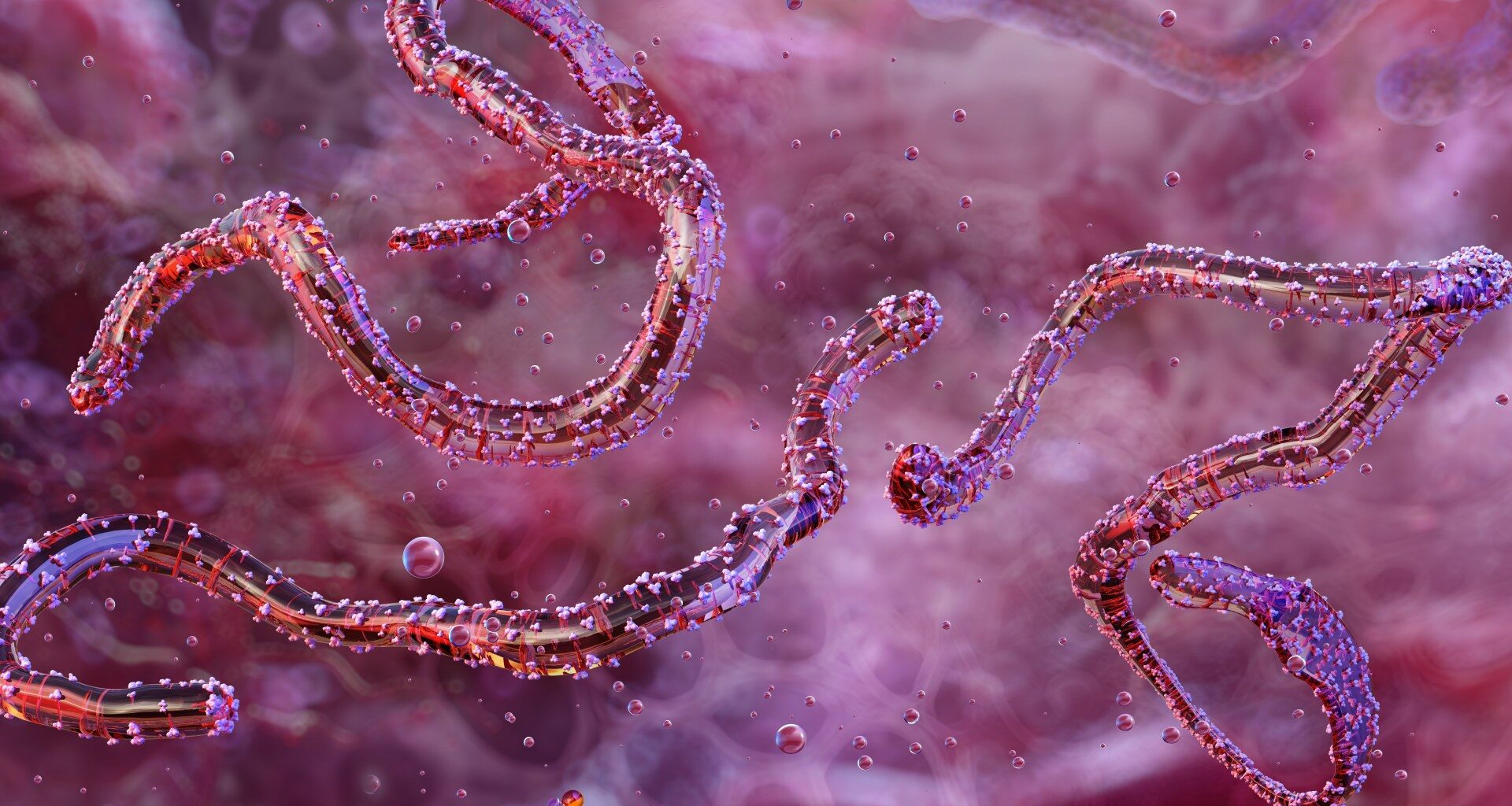 Ethiopia confirms first outbreak of Marburg virus | Health News