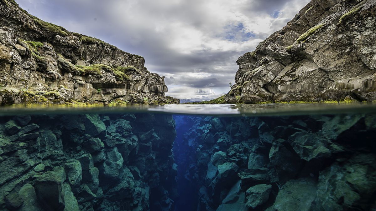 Deep Beneath The Pacific Ocean, Earth's Crust Is Tearing Itself Apart : ScienceAlert