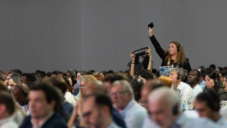Latin American countries complained about a lack of transparency in the negotiations. Pic: UN Climate Change/Kiara Worth