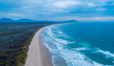 Woman killed and man injured in shark attack in New South Wales, Australia | World News