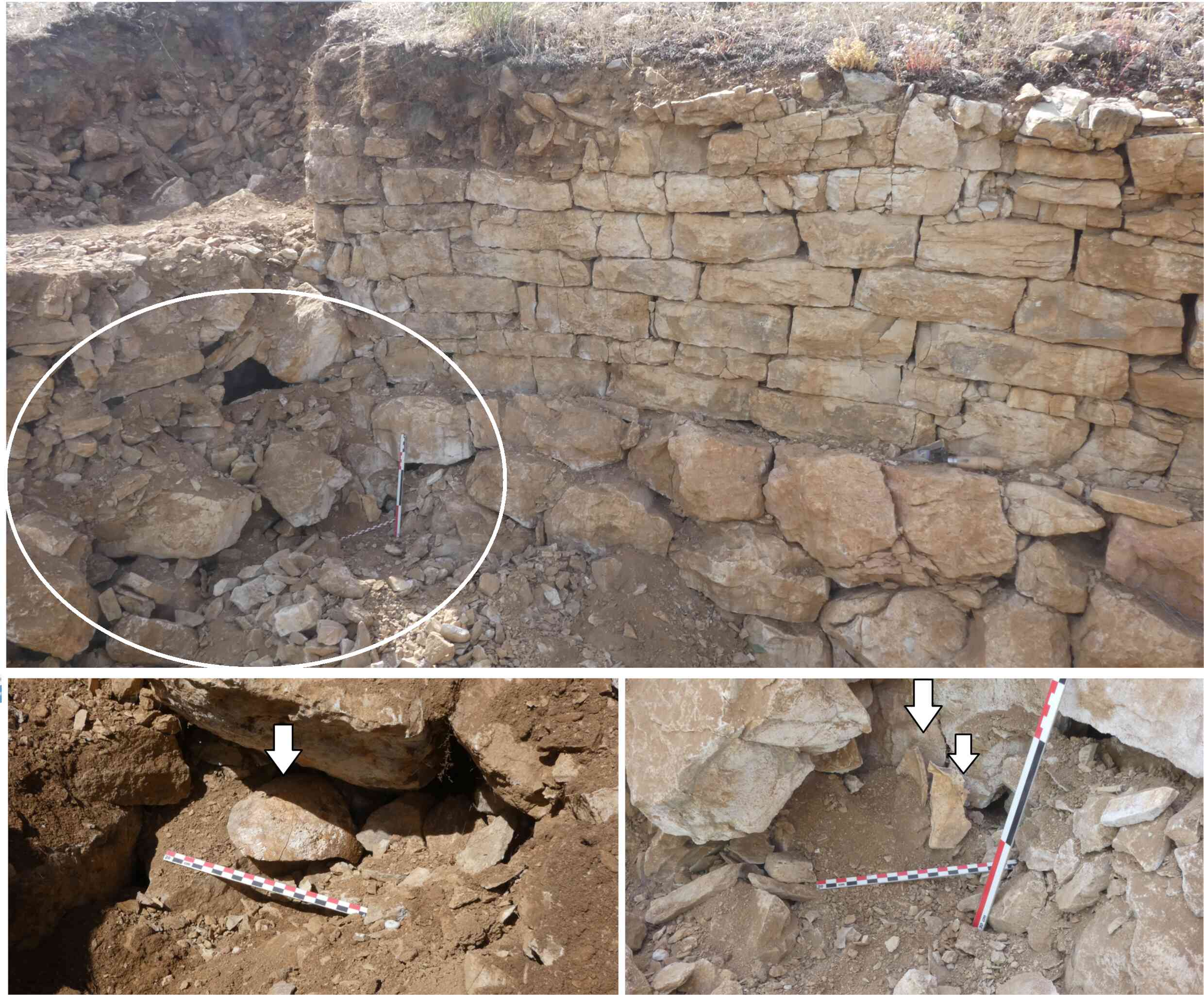 The circle and arrows indicate the locations of several fragments of the human skull