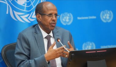 Africa calls for permanent seat at UN Security Council, fair representation in global financial bodies