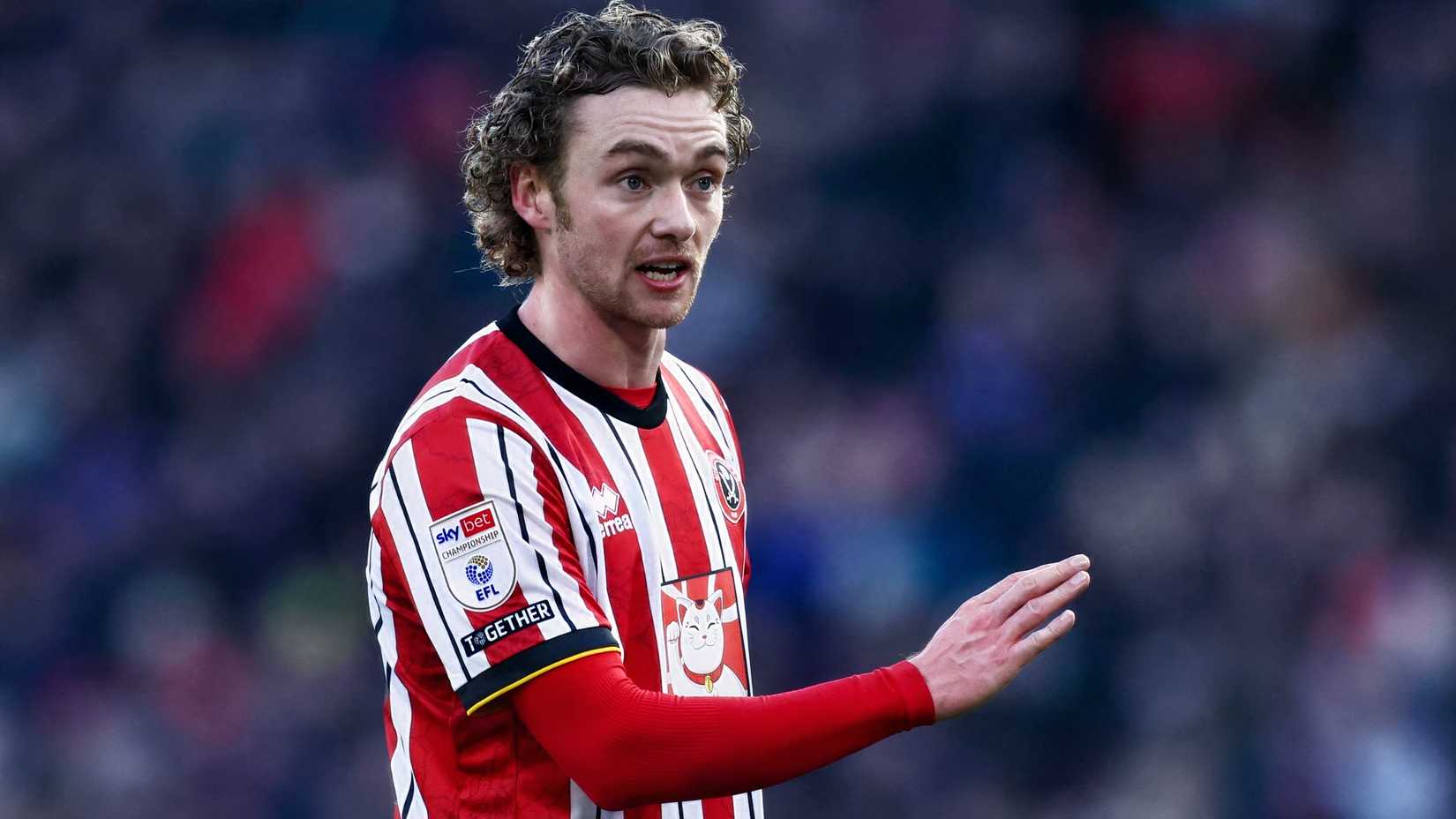Tom Davies for Sheffield United vs Norwich City
