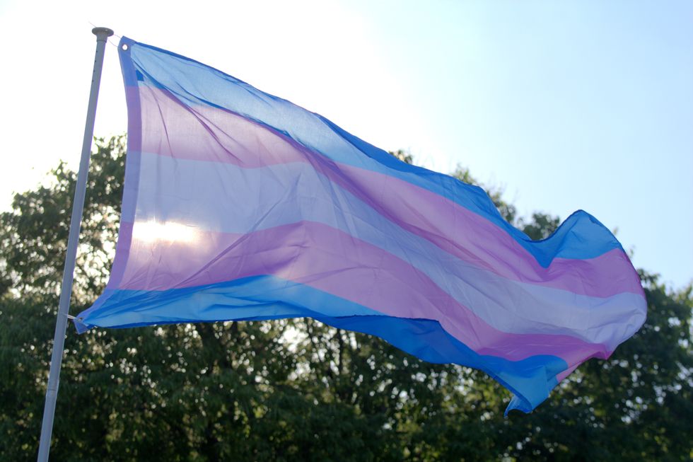Trans flag