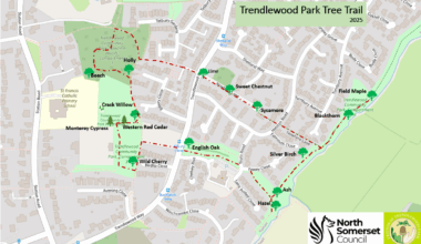 New Tree Trail launches in Trendlewood Park, Nailsea
