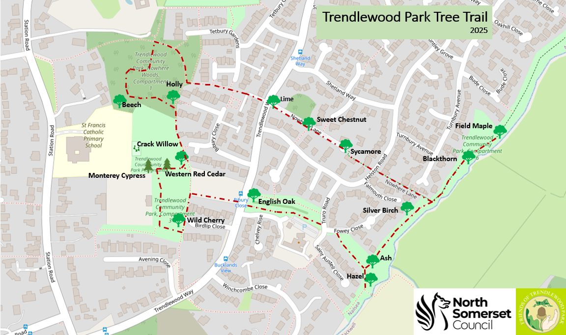 New Tree Trail launches in Trendlewood Park, Nailsea