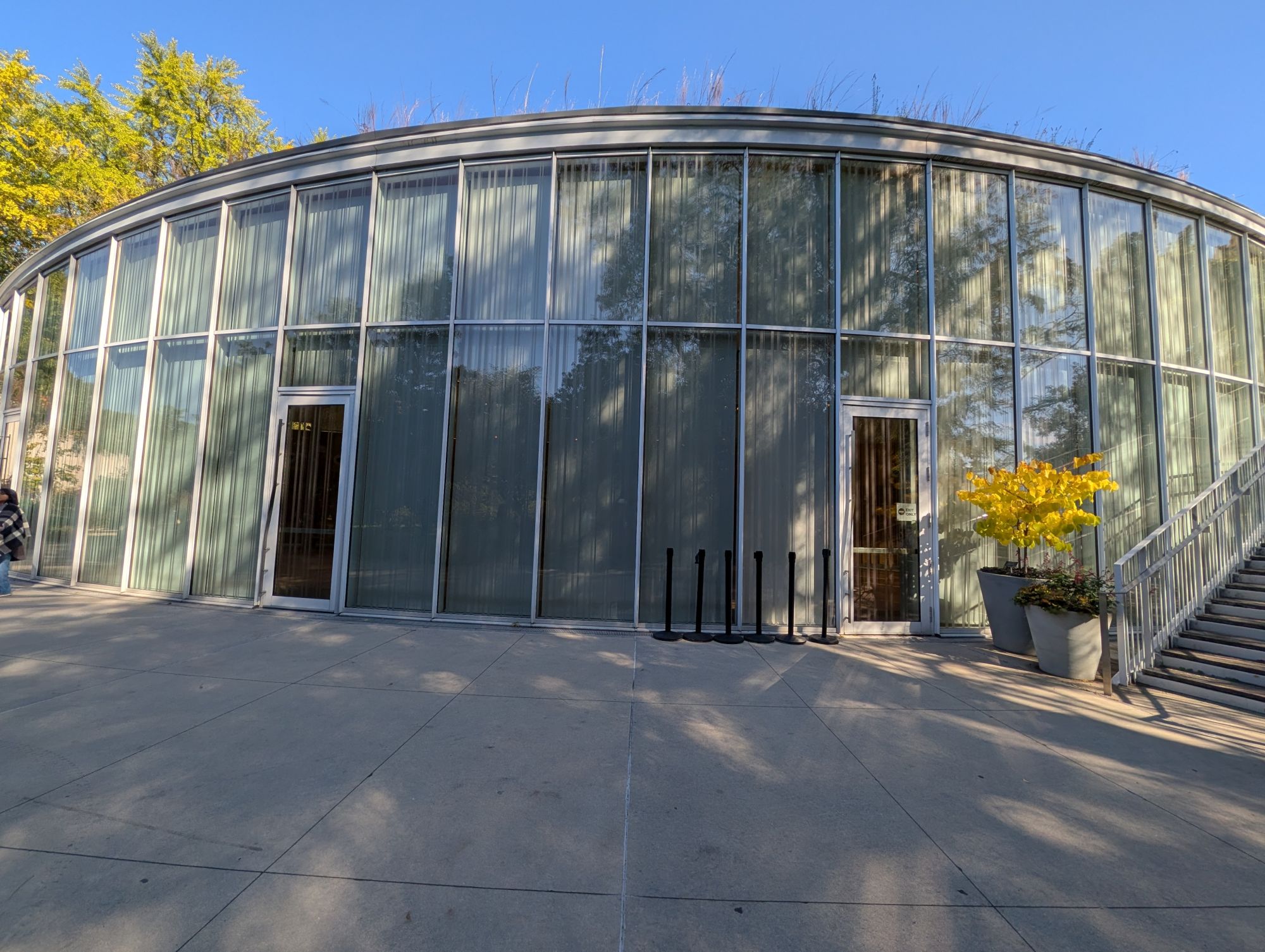 Google Pixel 10 Pro XL daytime sample.