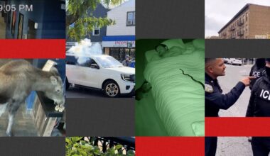 Can you spot AI videos from real ones? Take our quiz : NPR