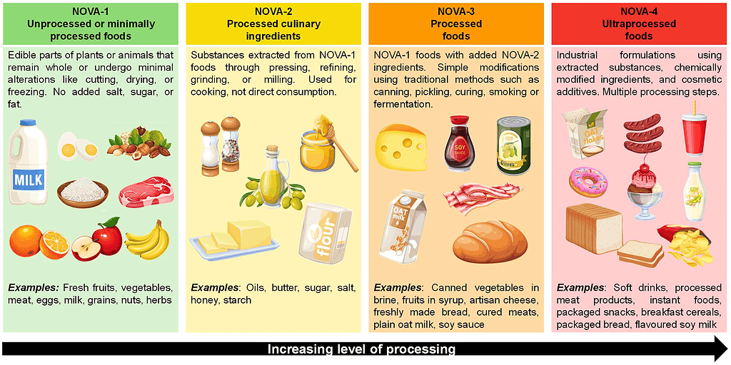 Graphing showing the four food category groups ranging from unprocessed to ultra-processed foods
