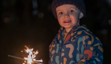 Local people attend organised fireworks display in Clermiston