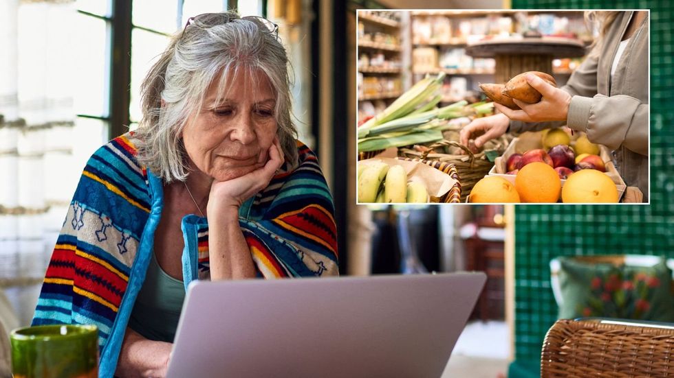 Woman on laptop and supermarket shop