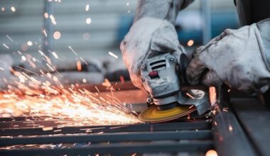 bne IntelliNews - The EU’s new supply web