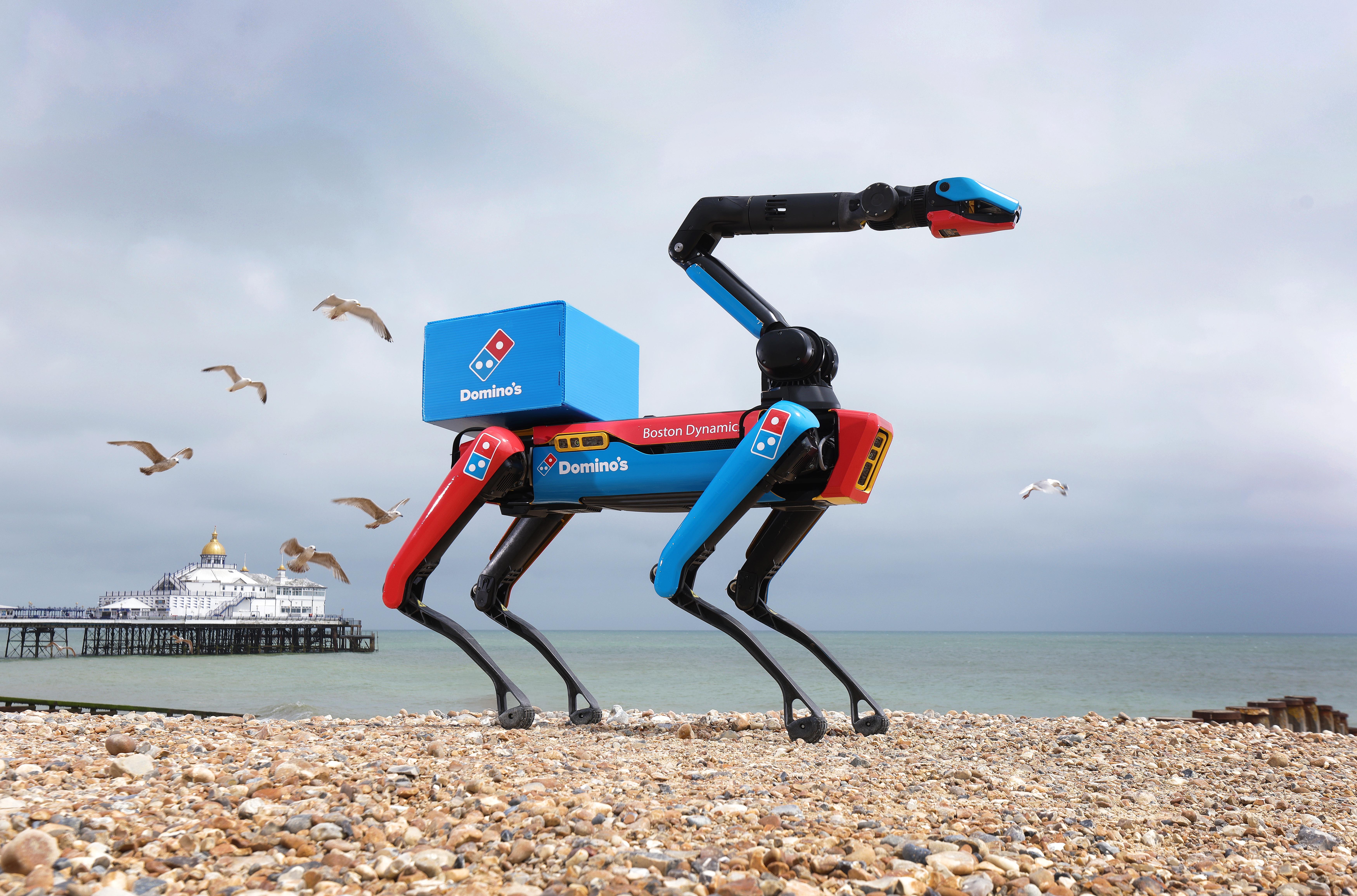 Domino's Domi Dog, a Boston Dynamics robot, carrying a pizza box on a pebbled beach with seagulls and a pier in the background.