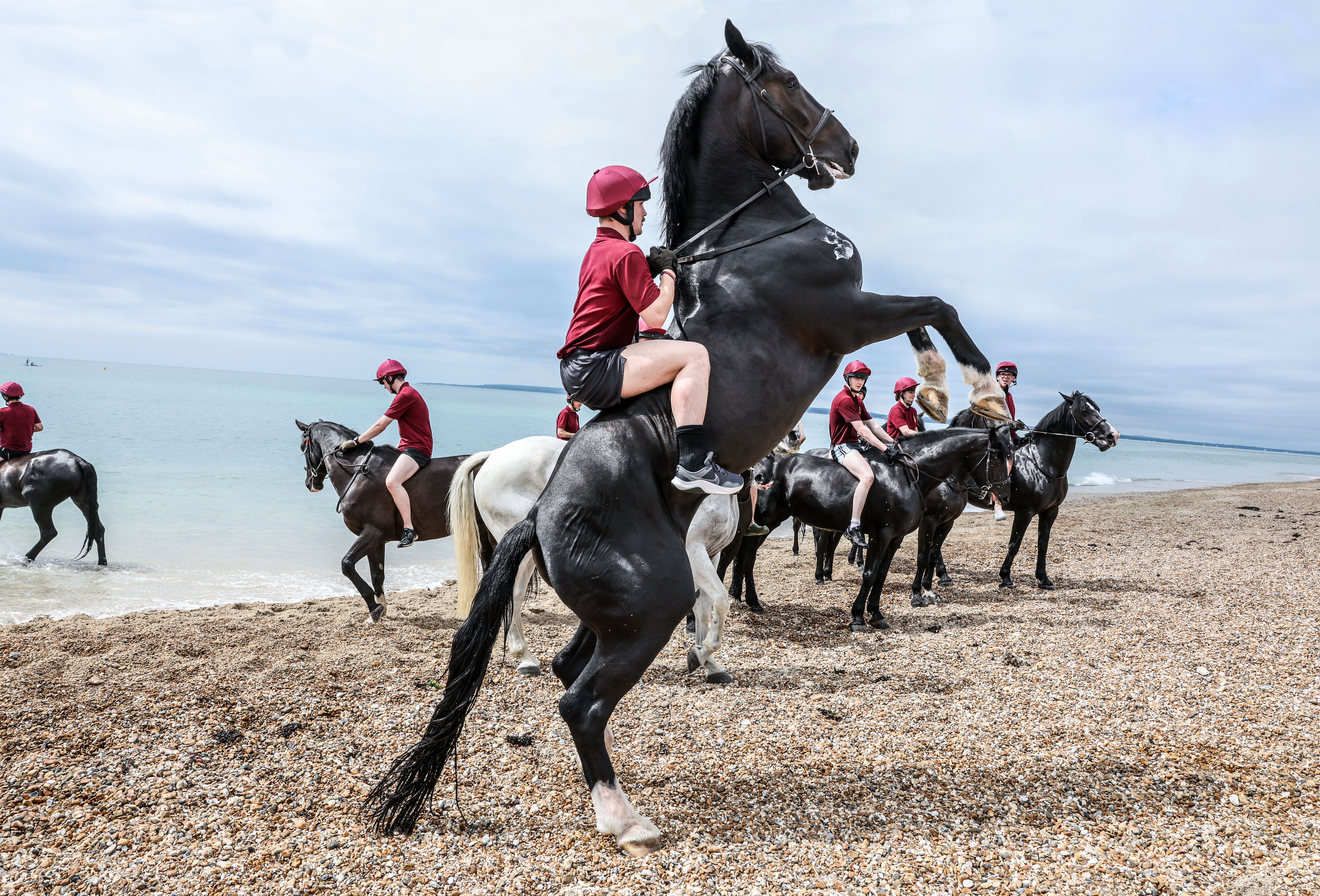 A black horse rears up on a rocky beach with a rider on its back as other horses and riders stand nearby, and the sea is in the background.