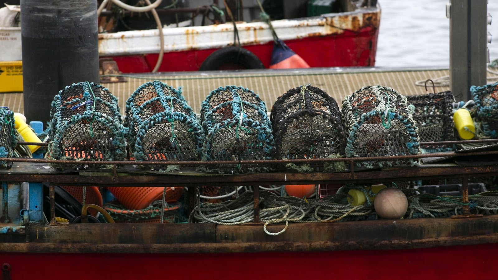 EU fishing quota agreement 'catastrophic' for Ireland