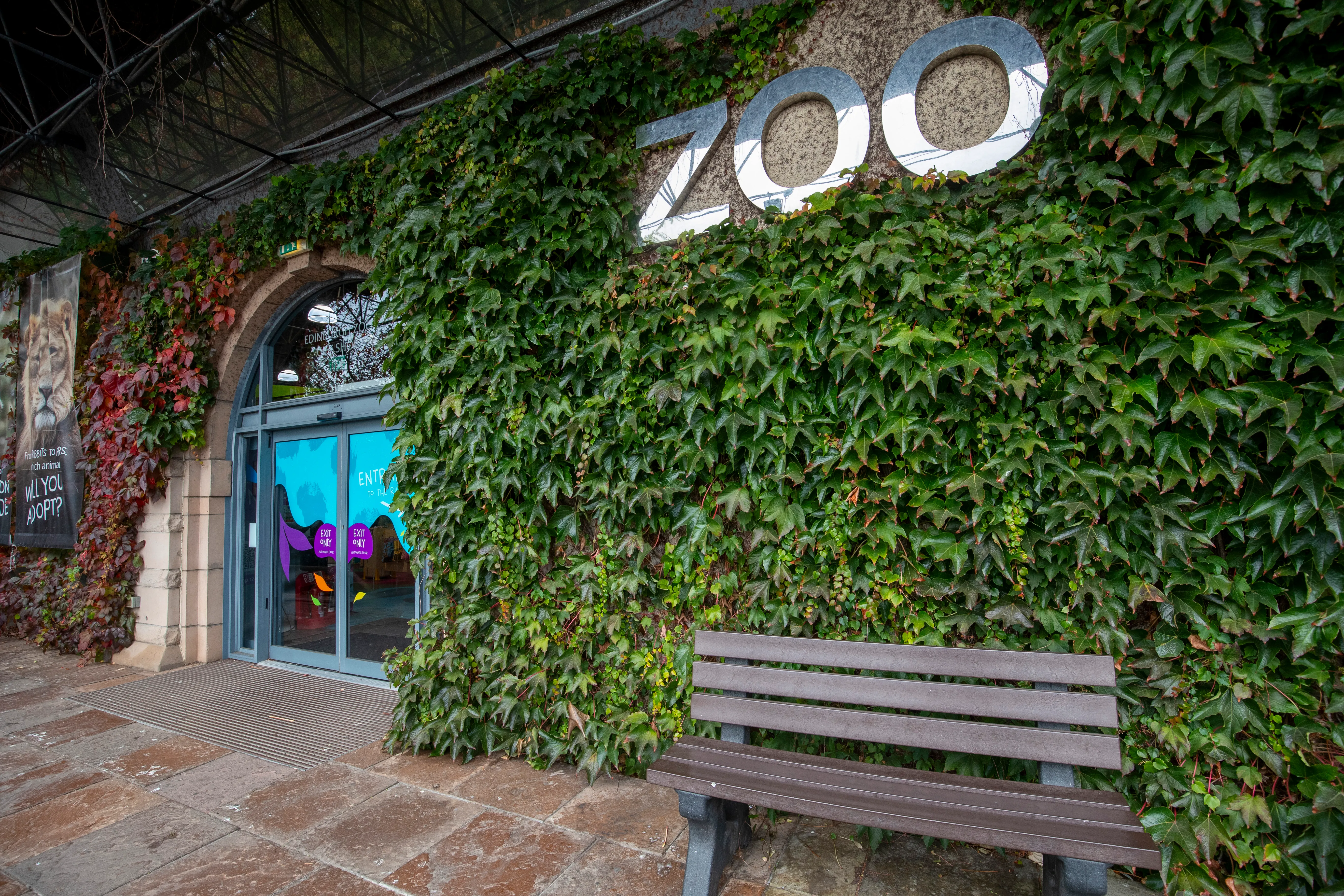 Entrance to the Edinburgh Zoo with an ivy-covered wall and a bench.