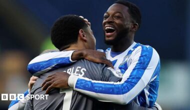Sheffield Wednesday 2-2 Hull City: Owls rally to hold Tigers