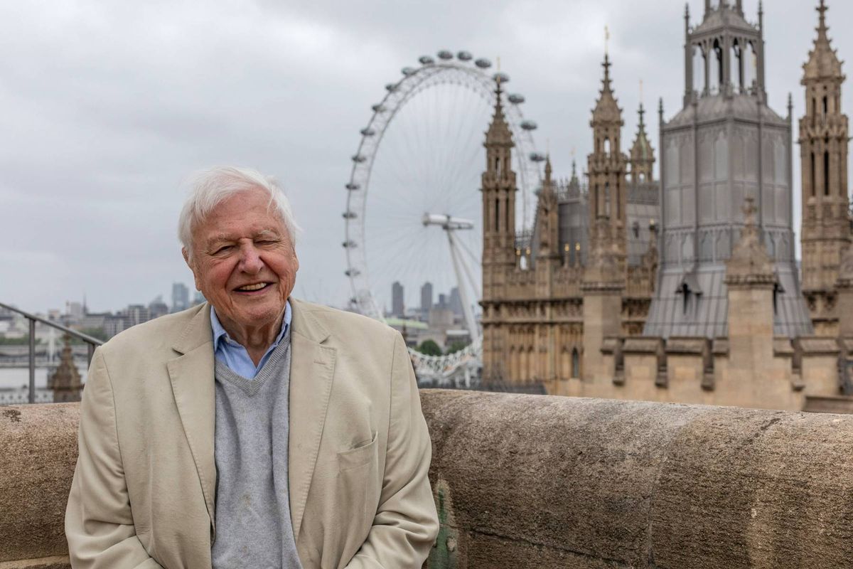 David Attenborough 