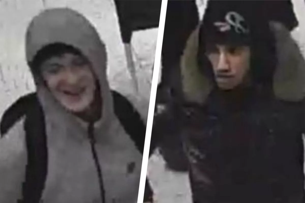 Police want to speak to these boys