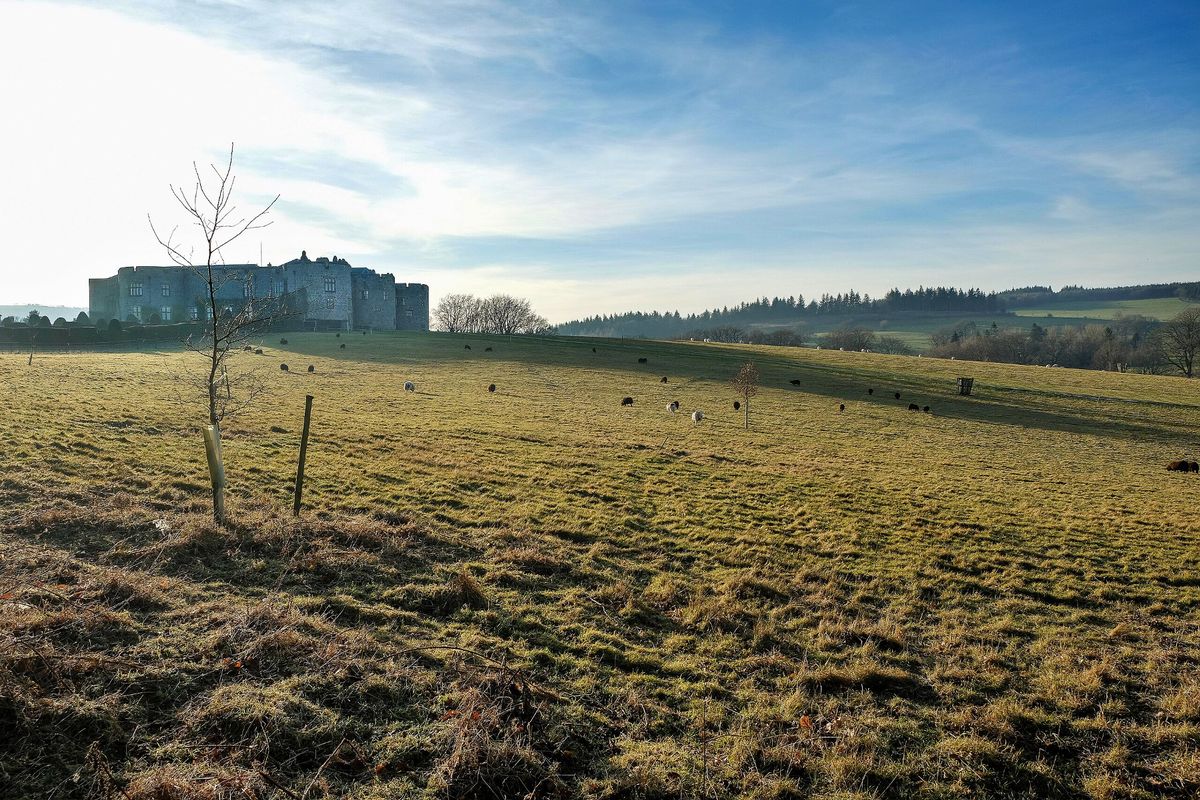 Winter sun at Chirk Castle