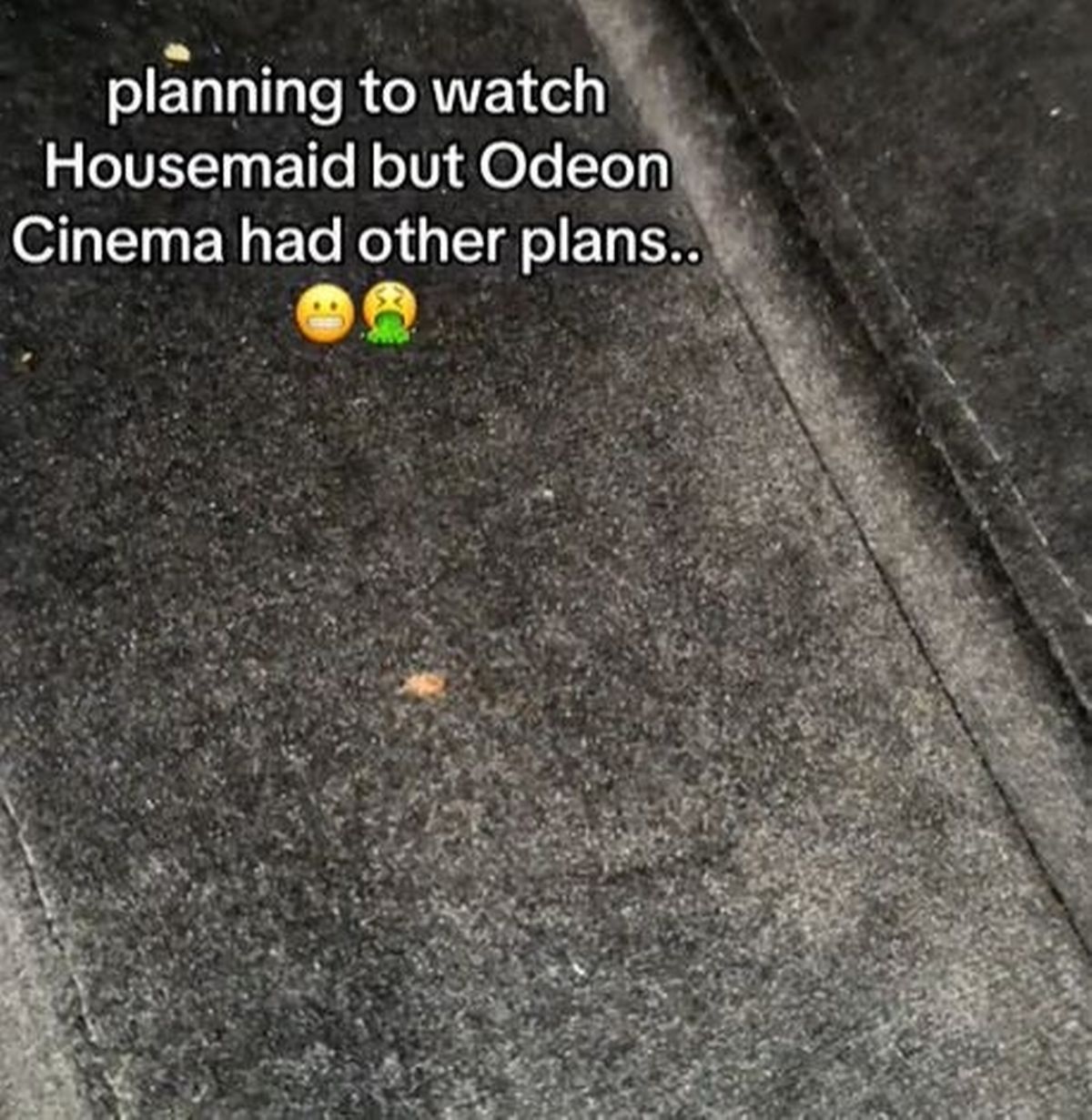 One customer alleged there had been 'bugs' in one of the screens at the ODEON cinema inside the Trafford Centre