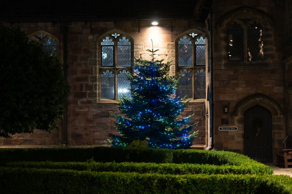 The library will be decorated for Christmas 