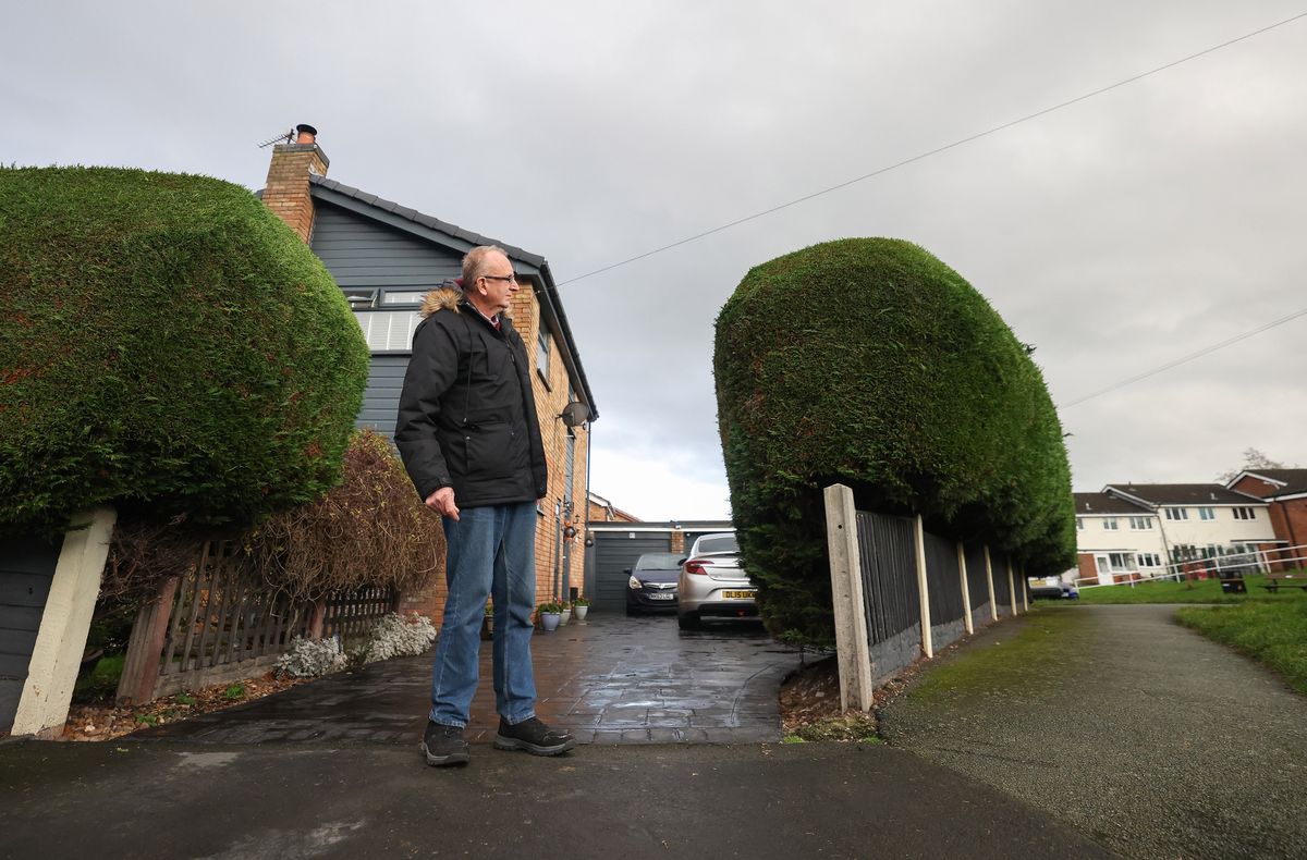 Mr Patterson said people had described his hedges as "perfect"