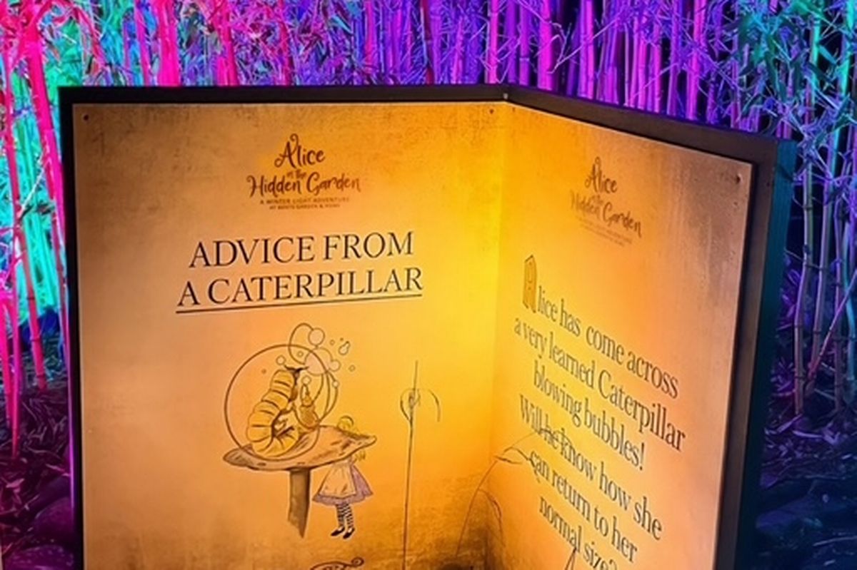 The Alice in the Hidden Garden Light Trail has been cancelled on Tuesday evening amid Storm Bram