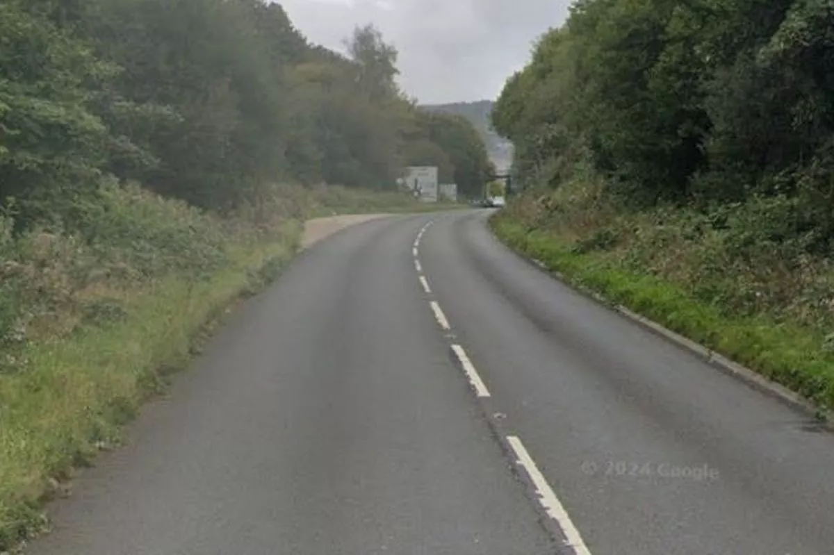 Single carriageway road surrounded by trees 