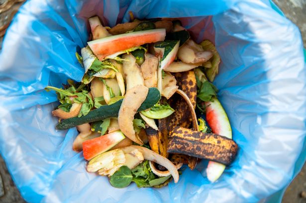Kitchen food waste collected in recycling compost bag
