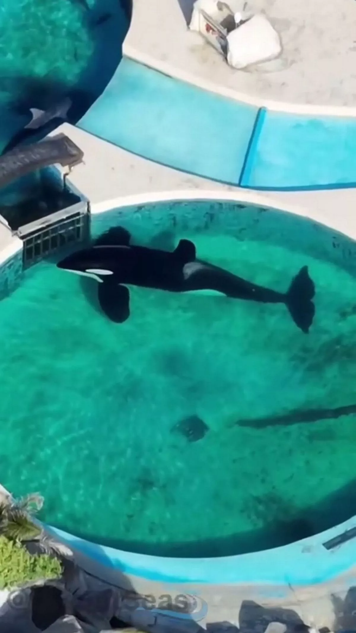 A photo of Kshamenk from the air 