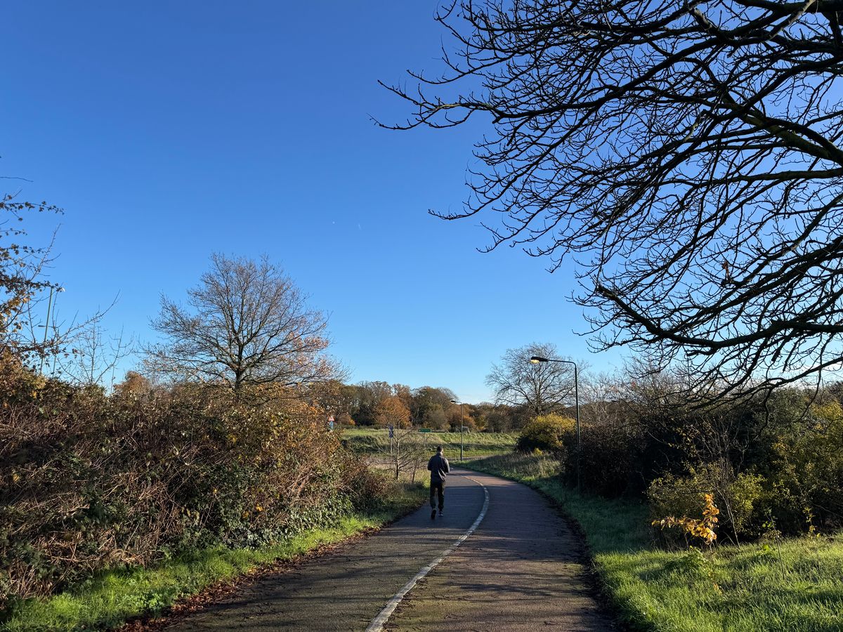 A person walking through Wanstead Heath