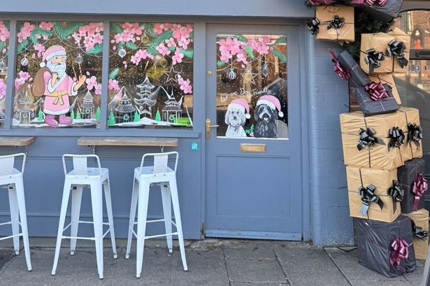 The owner of a popular Pan-Asian restaurant has issued a plea to customers ahead of a quiet few months