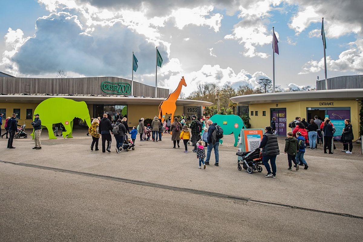 Chester Zoo is offering some families £1 tickets