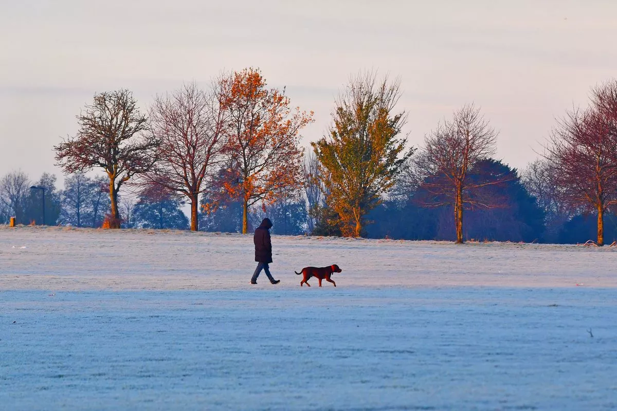 Cold winter morning in Stanley Park, Anfield