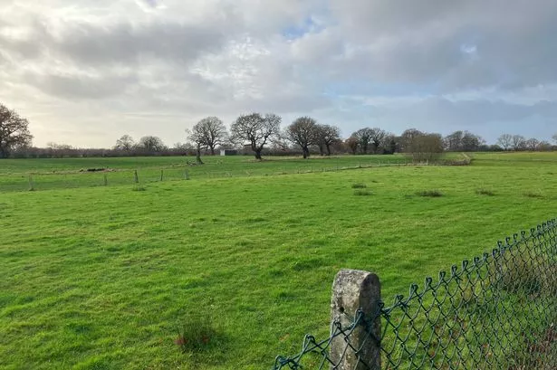 Land at Jacksons Lane in Hazel Grove (Image: LDRS)