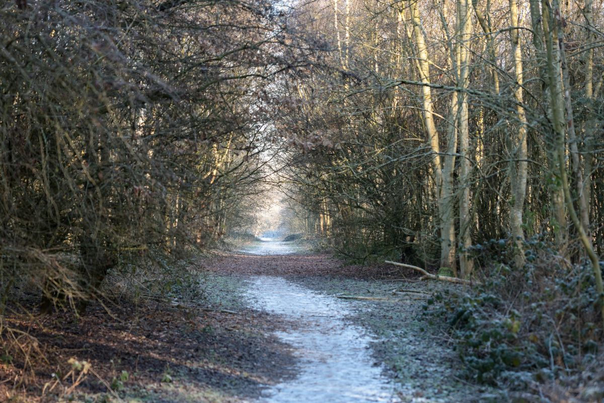 Kenworthy Woods