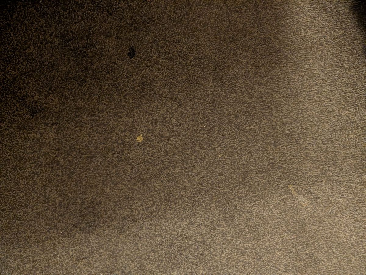 Stains on the carpet