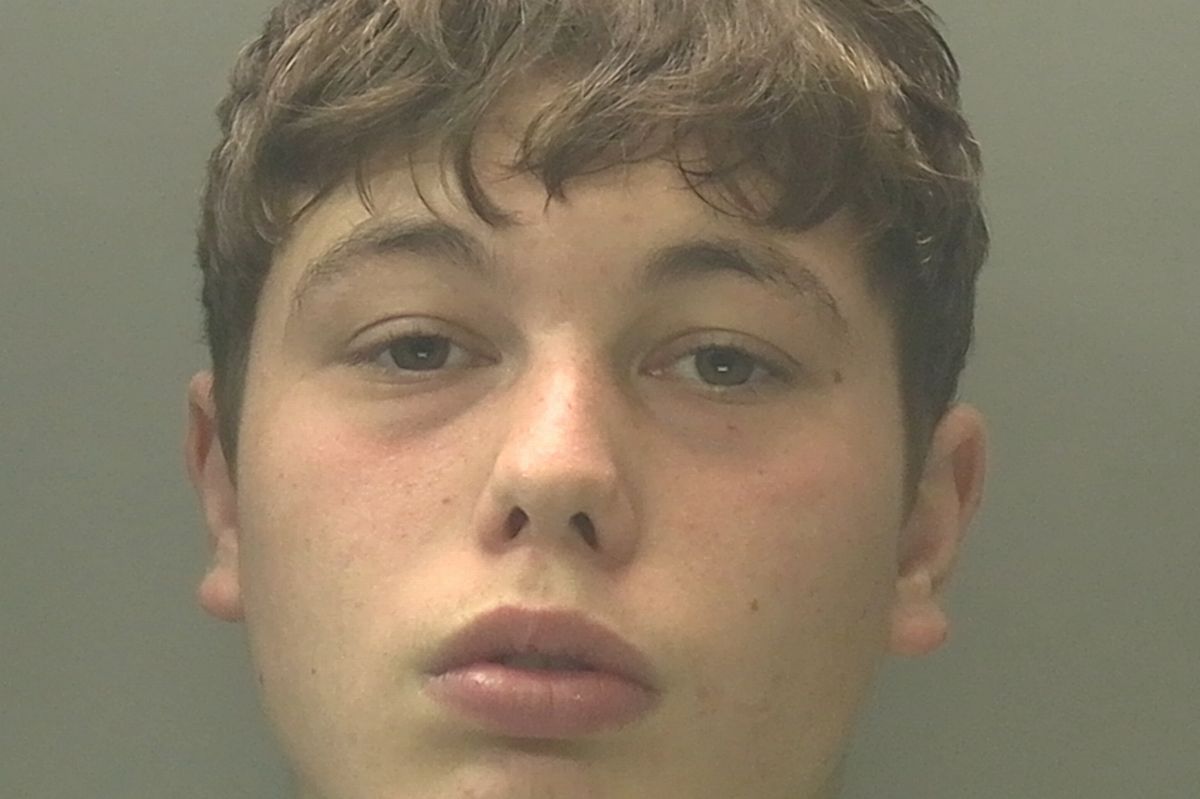 Leo, who has gone missing