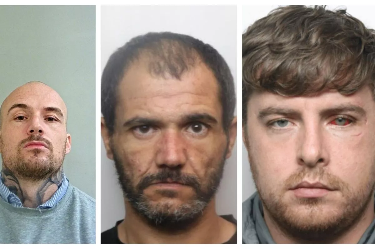 Amongst those locked up this week in Chad James (left), Kristen O'Reilly (middle) and John Joyce (right)