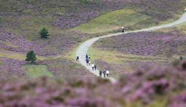 Manchester Evening News