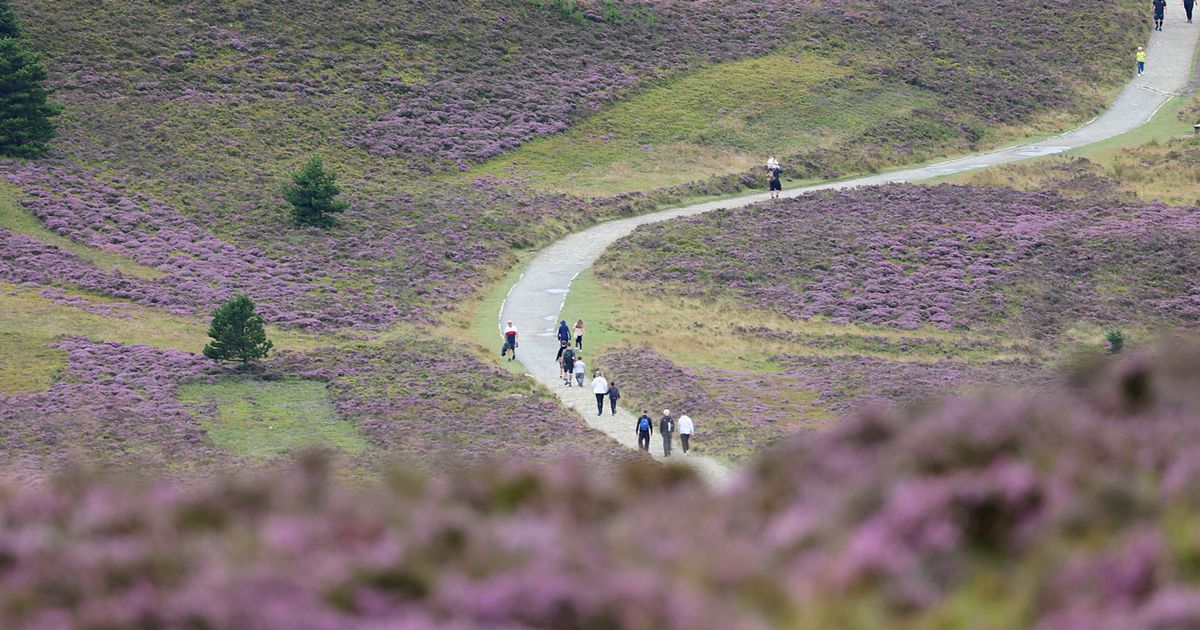 Manchester Evening News