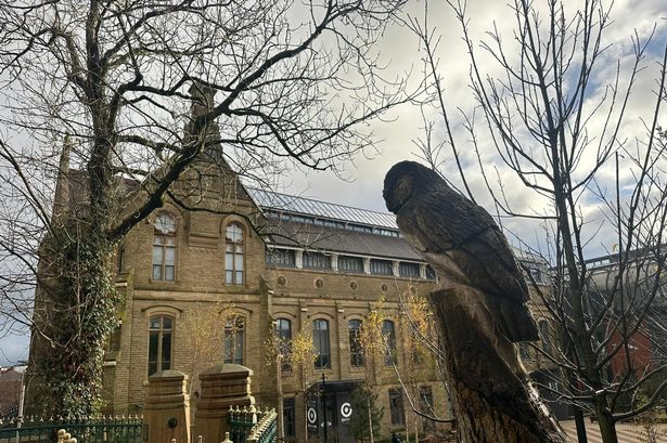 Councillors are calling for more checks and balances... on themselves. 